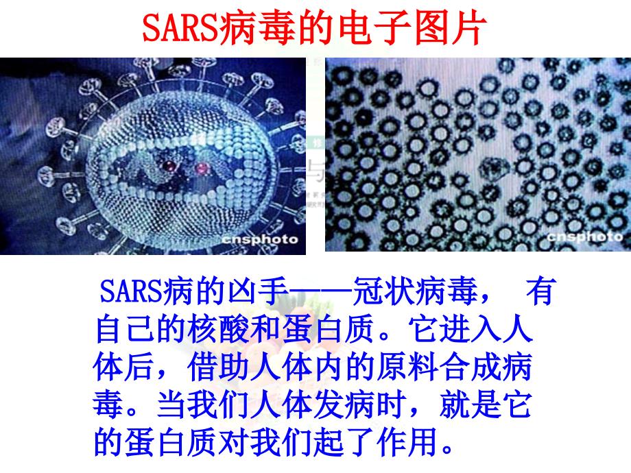 2018年优课系列高中化学人教版选修1 1.3生命的基础—蛋白质 课件_第2页