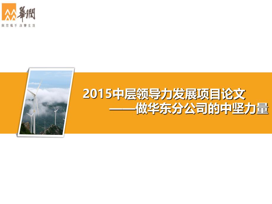 中层领力发展项目论文——做华东分公司的中坚力量论文答辩_第1页