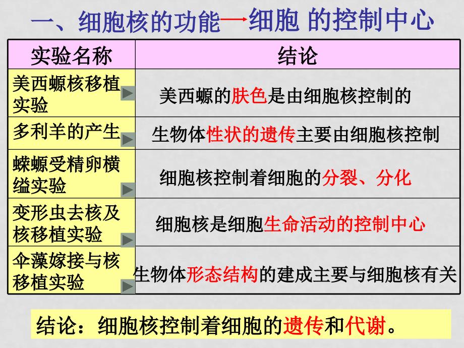 高中生物授新课课件细胞核和原核细胞 课件必修一_第3页