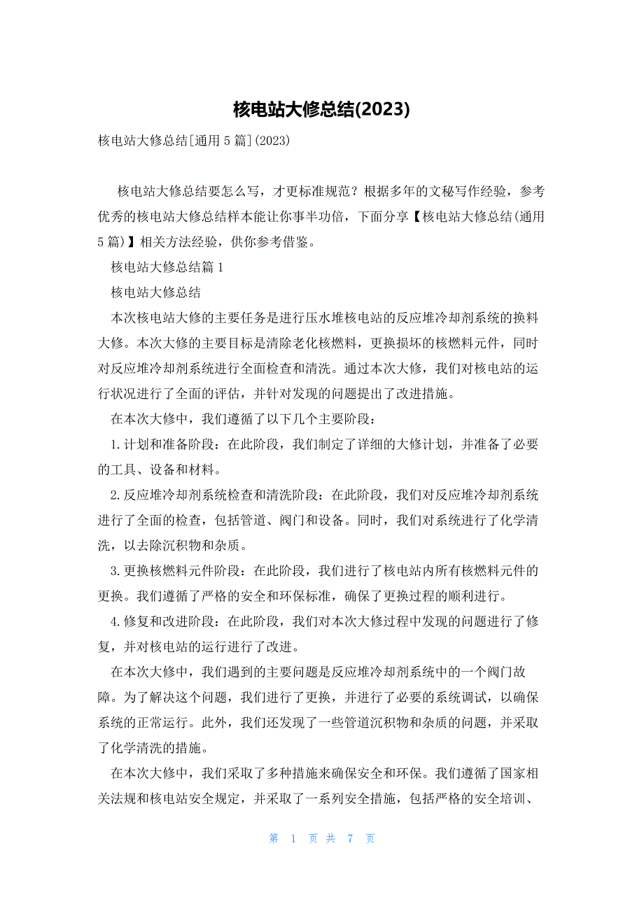 核电站大修总结(2023)_第1页
