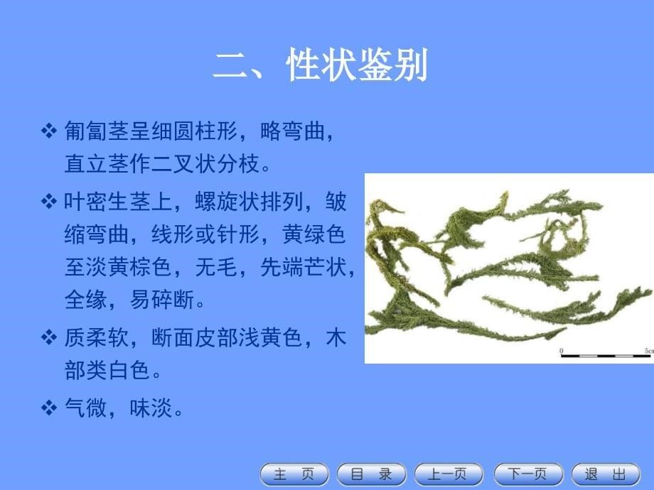 全草类中药的鉴定_第5页