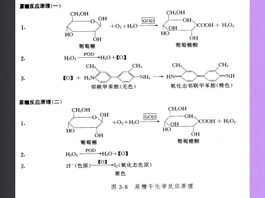 管理学第五章第四节尿糖尿酮体检查课件_第5页