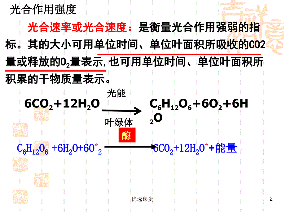 影响光合作用因素(实用)【讲课适用】_第2页