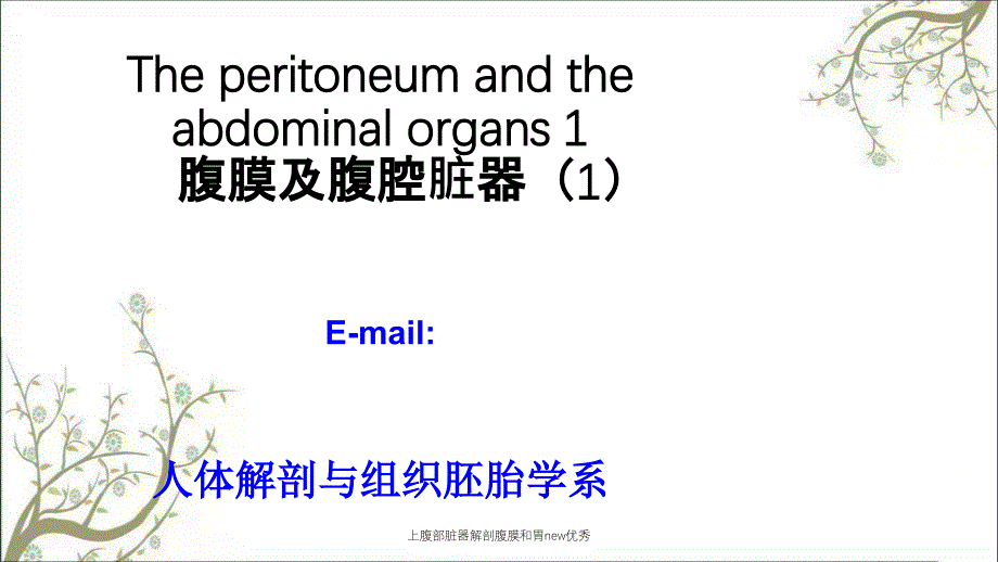 上腹部脏器解剖腹膜和胃new优秀_第1页