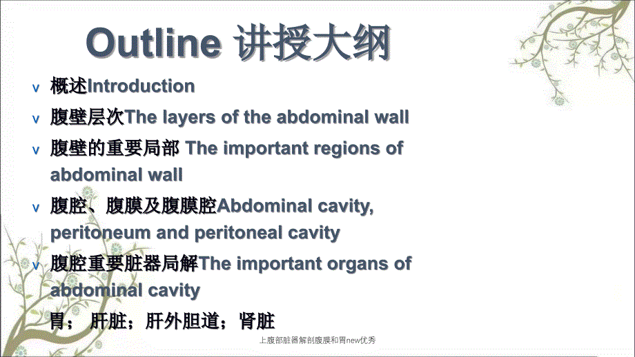 上腹部脏器解剖腹膜和胃new优秀_第2页