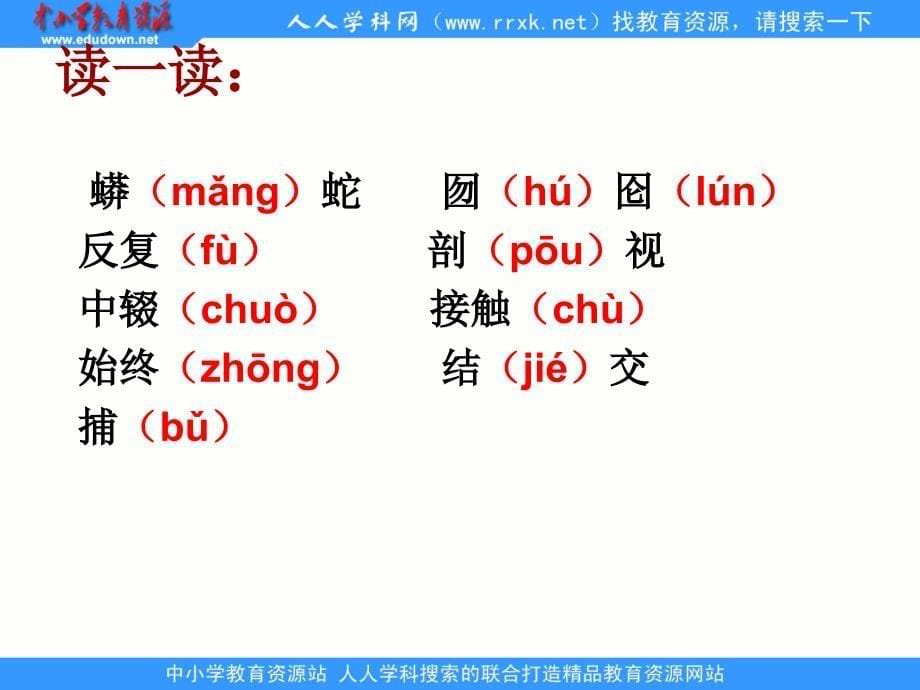 长版六年级下册蛇肚子里的象精品课件之二_第5页