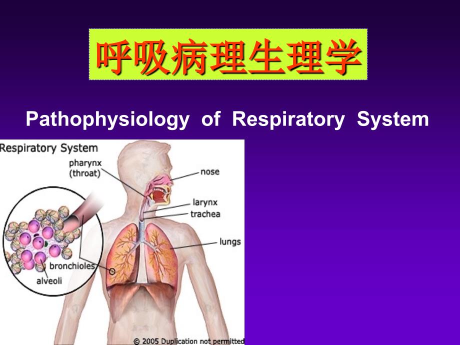 病理生理学课件：呼吸病理生理学_第1页