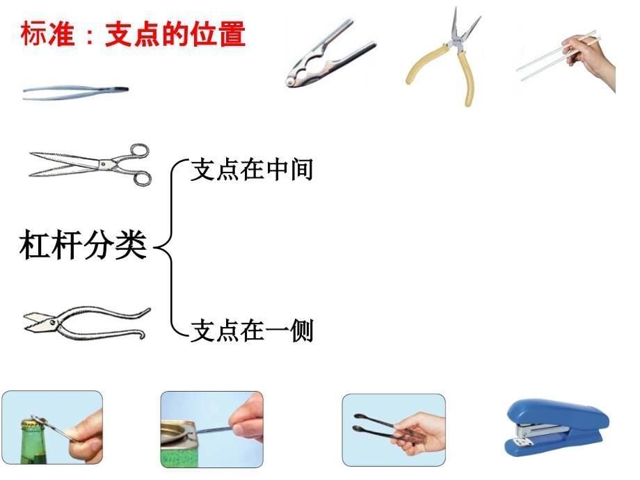 教科版六年级上册一单元3课_第5页