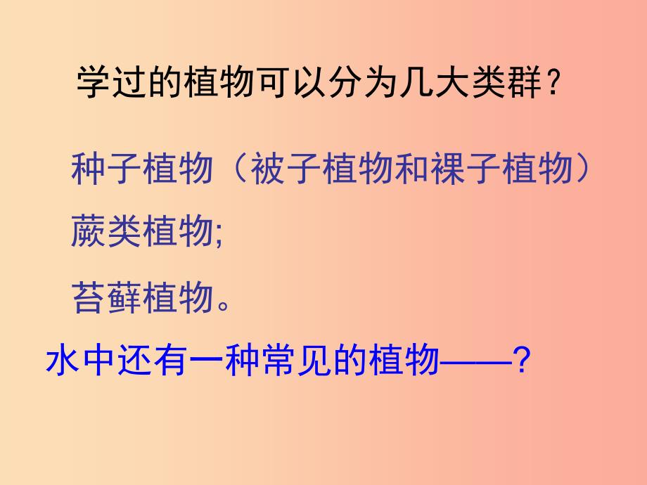 江苏省七年级生物下册10.2水中的藻类植物课件新版苏科版.ppt_第2页