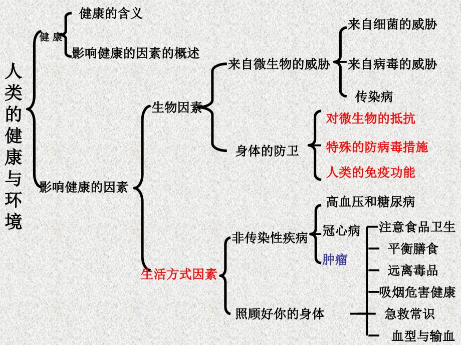 年级下第三章复习课_第2页