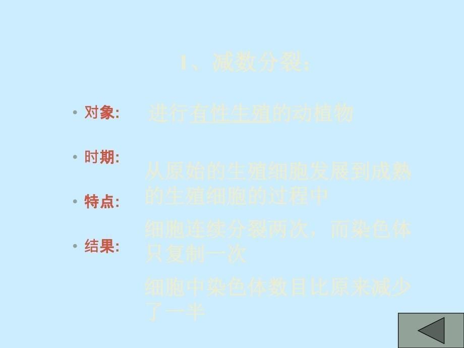 2.1减数分裂和受精作用ppt3_第5页