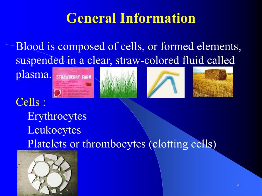 医学英语课件：hematology Chapter_第4页