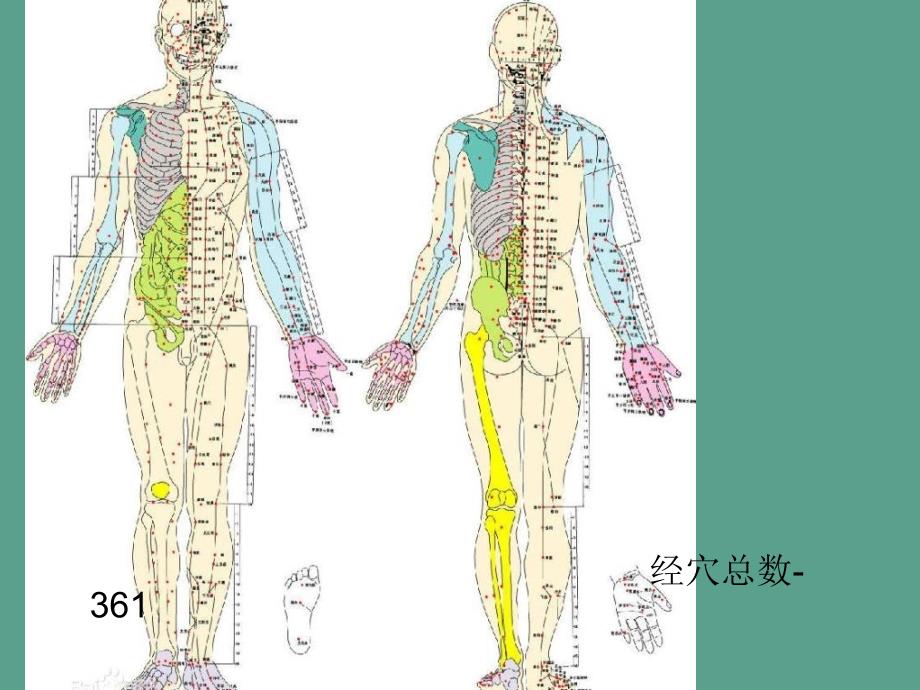 针灸耳鼻喉篇ppt课件_第3页