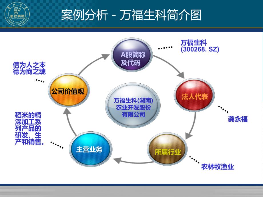 万福生科财务造假案例分析_第2页