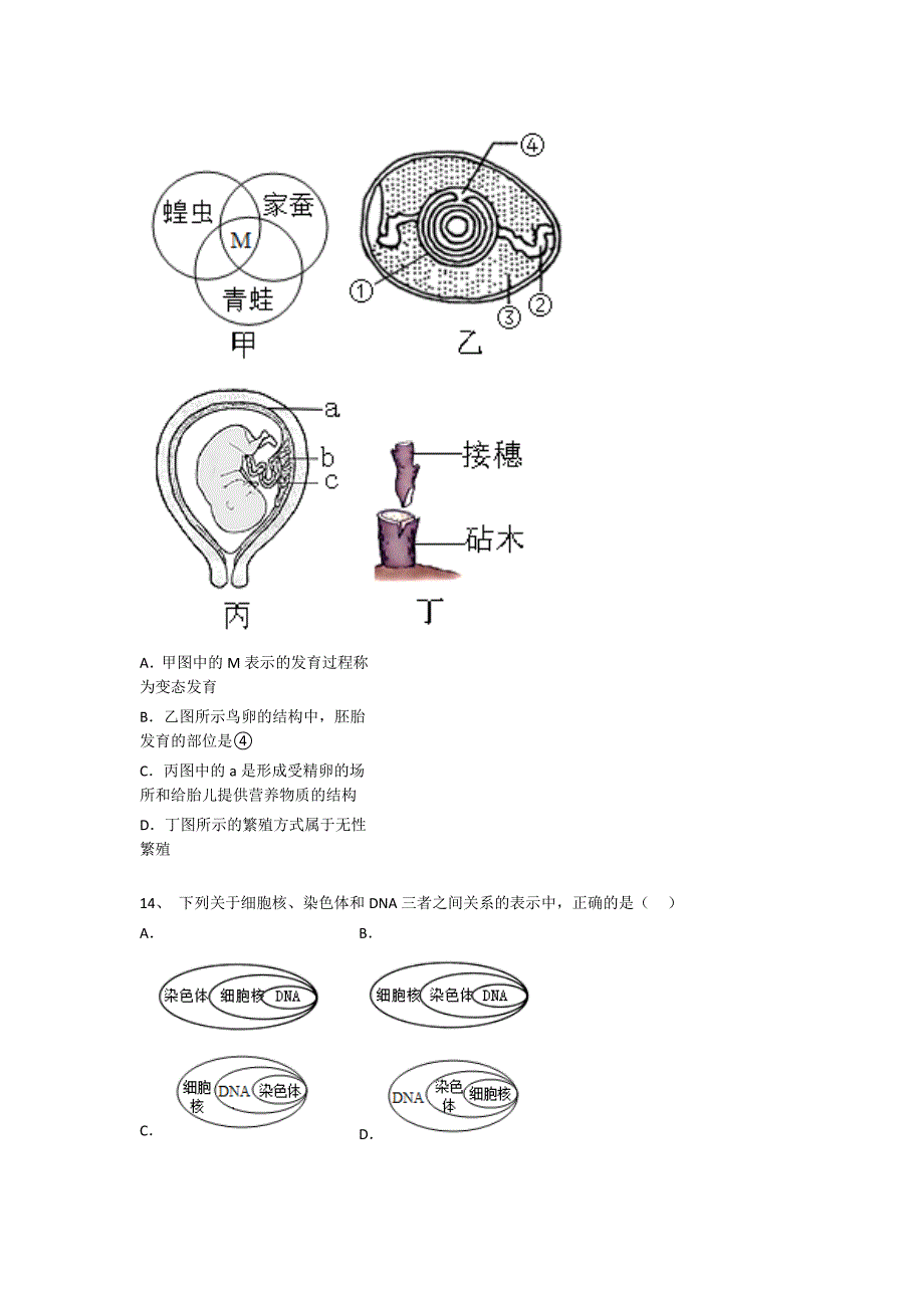 2023-2024学年湖北省初中生物八年级期末点睛提升预测题详细答案和解析_第4页