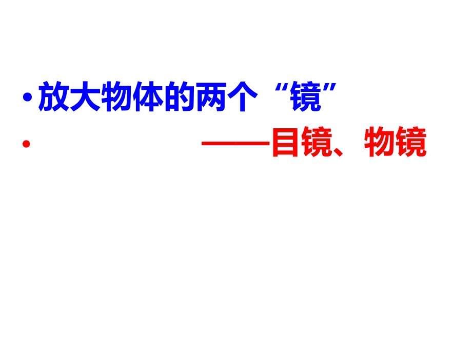 理化生新人教版练习使用显微镜优质课_第5页