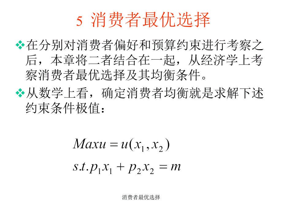 消费者最优选择课件_第1页