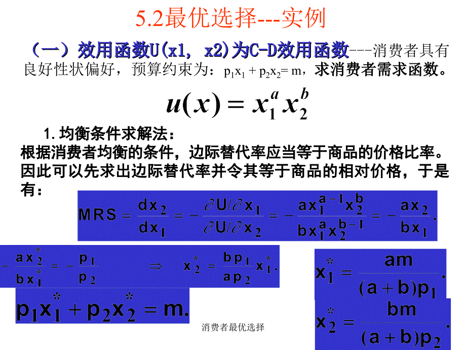 消费者最优选择课件_第4页