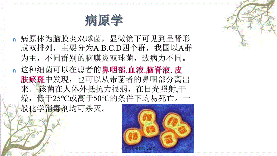 流行性脑脊髓膜炎最新课件_第3页