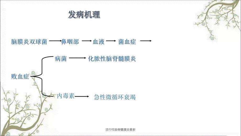 流行性脑脊髓膜炎最新课件_第5页