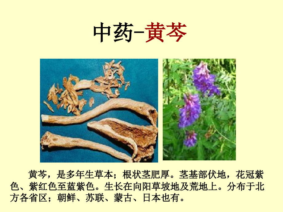 100味中药教学课件幻灯片_第4页