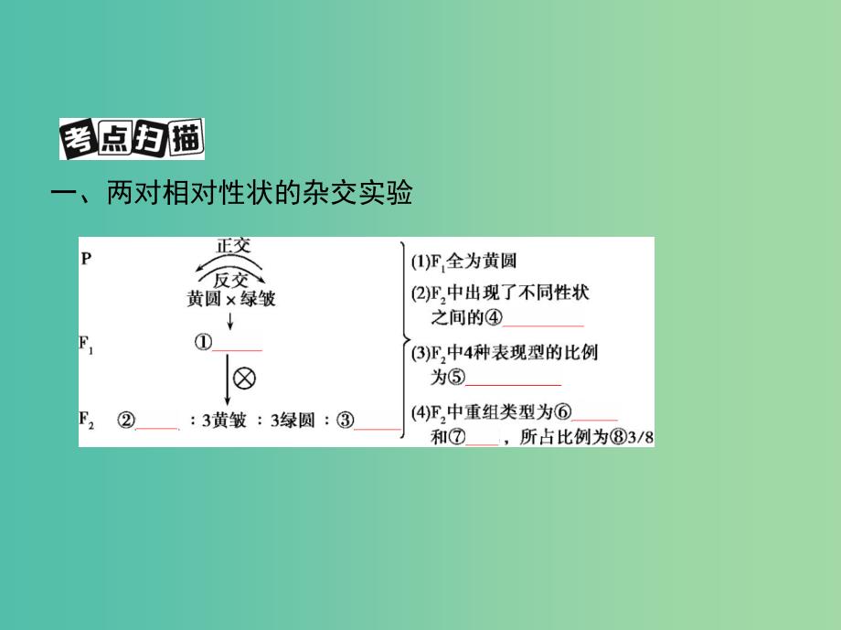 北京专用2019版高考生物一轮复习第15讲基因的自由组合定律课件.ppt_第3页