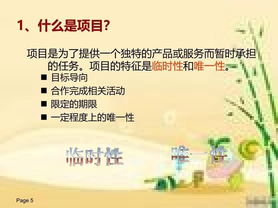 项目管理培训教材PPT课件_第5页