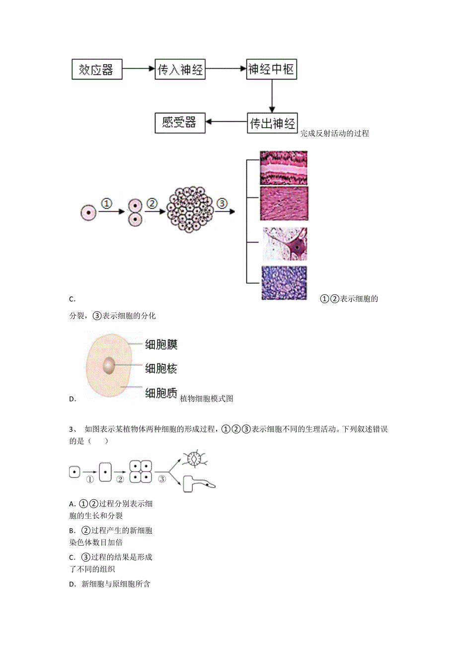 2023-2024学年广东省梅州市初中生物九年级期末自我评估提分题详细答案和解析_第2页