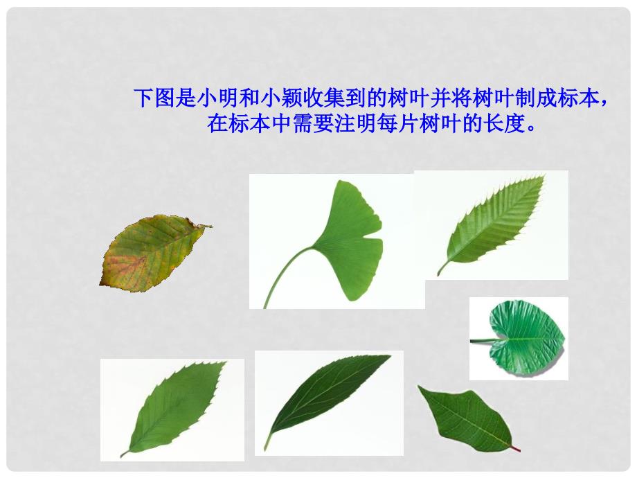 河南省郑州市侯寨二中七年级数学《3.2近似数》课件_第3页