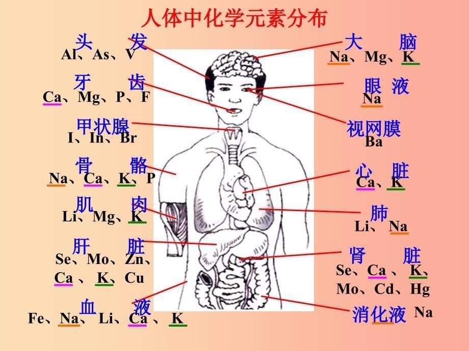 九年级化学下册 第十单元 化学与健康 第二节 化学元素与人体健康课件 （新版）鲁教版.ppt_第5页