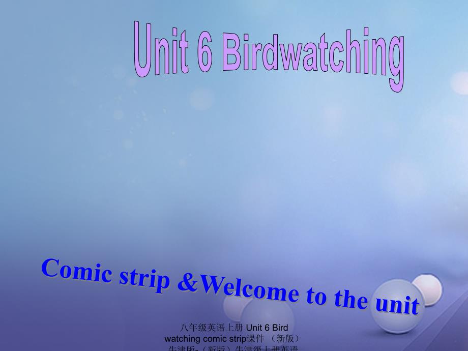 最新八年级英语上册Unit6Birdwatchingcomicstrip课件新版牛津版新版牛津级上册英语课件_第2页