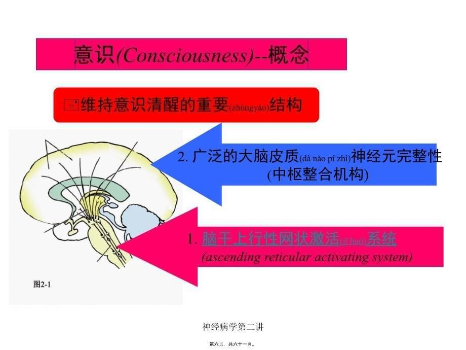 神经病学第二讲课件_第5页