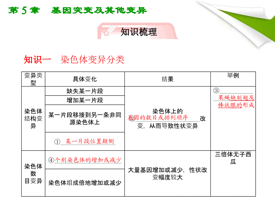 人教版教学课件高考生物总复习课件：52染色体变异知识研习新人教版必修2共24张_第3页