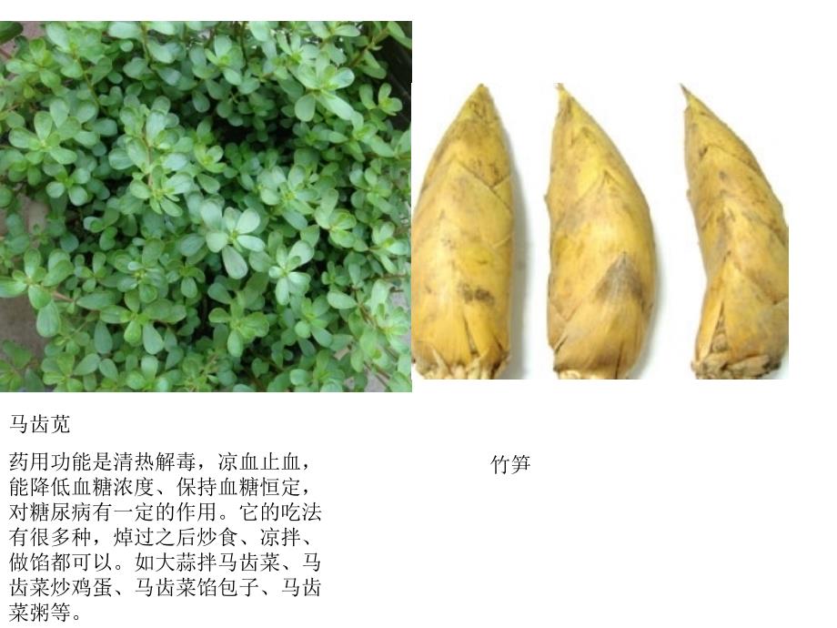 野生蔬菜PPT课件_第3页