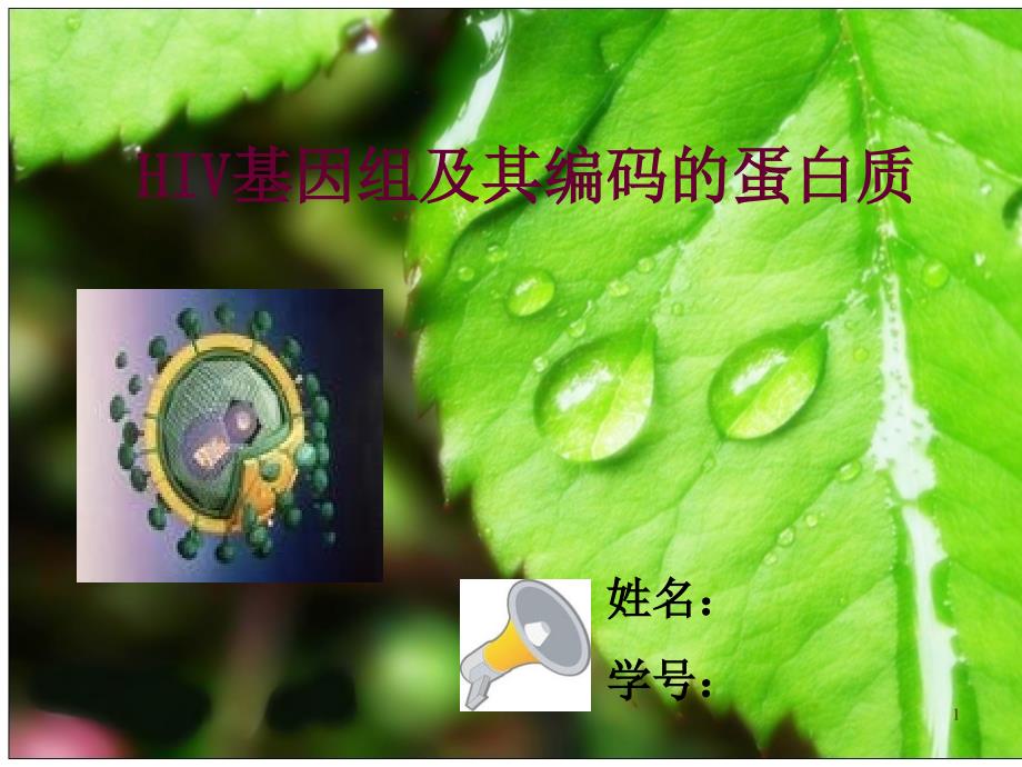 推荐HIV基因组及其编码蛋白_第1页