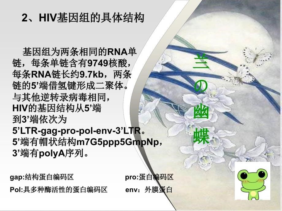 推荐HIV基因组及其编码蛋白_第5页