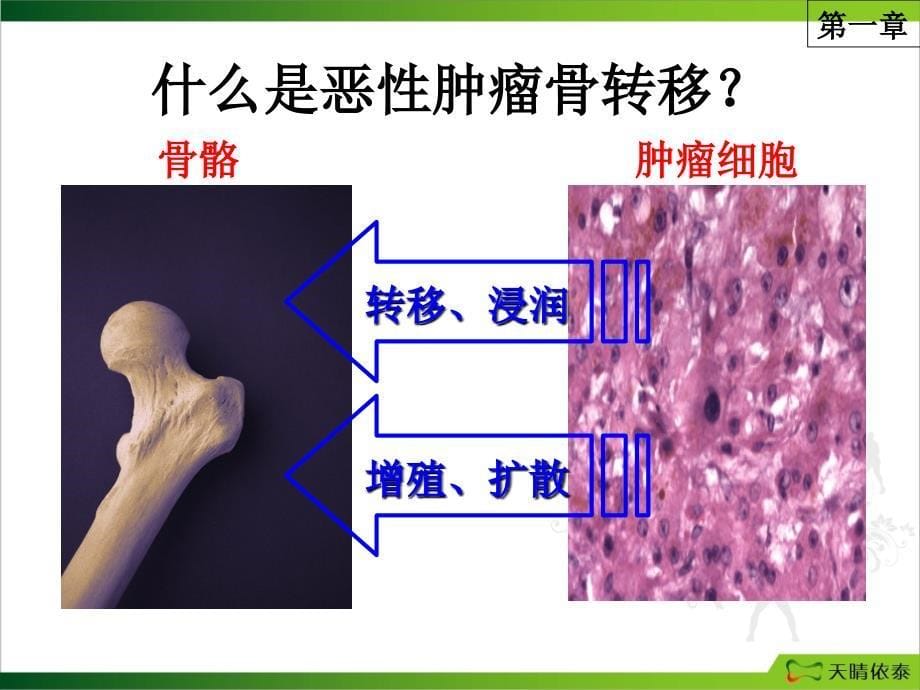 依泰培训幻灯_第5页