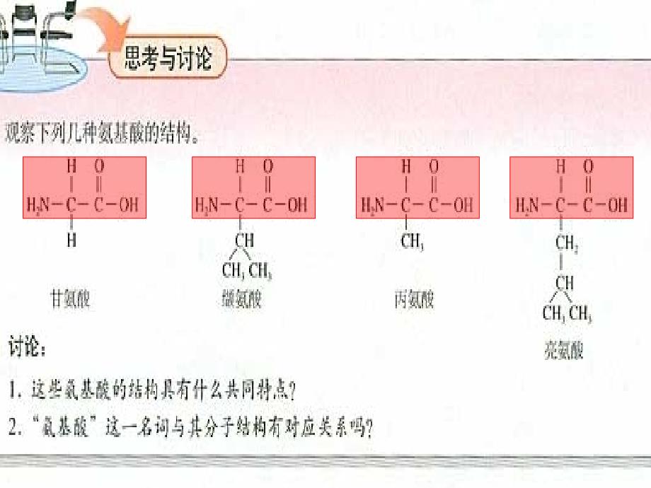 高中生物生命活动的主要承担者——蛋白质课件人教版必修1_第4页