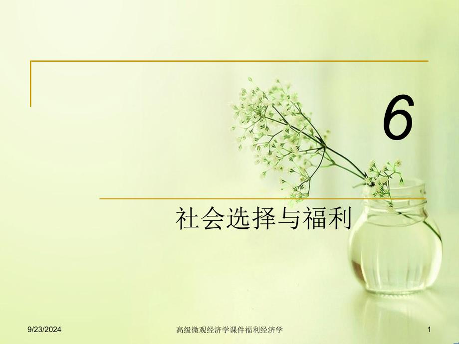 高级微观经济学课件福利经济学_第1页