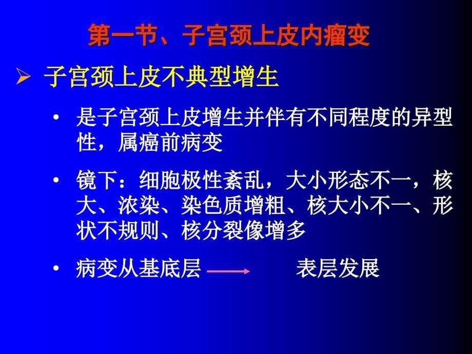 病理学课件：第十二章 生殖系统疾病及乳腺疾病_第5页