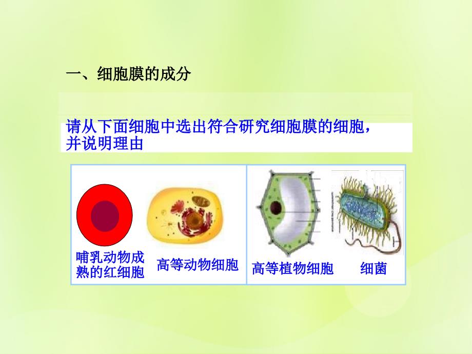 高中生物专题3.1细胞膜mdash系统的边界课件新人教版必修1_第2页