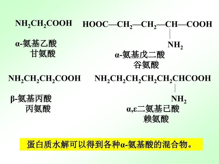 06第十四章氨基酸、蛋白质、核酸_第5页