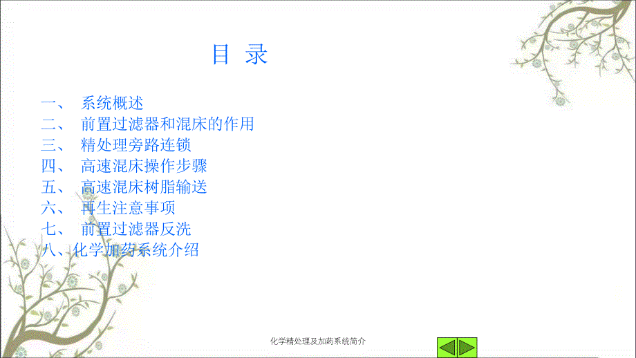 化学精处理及加药系统简介课件_第2页