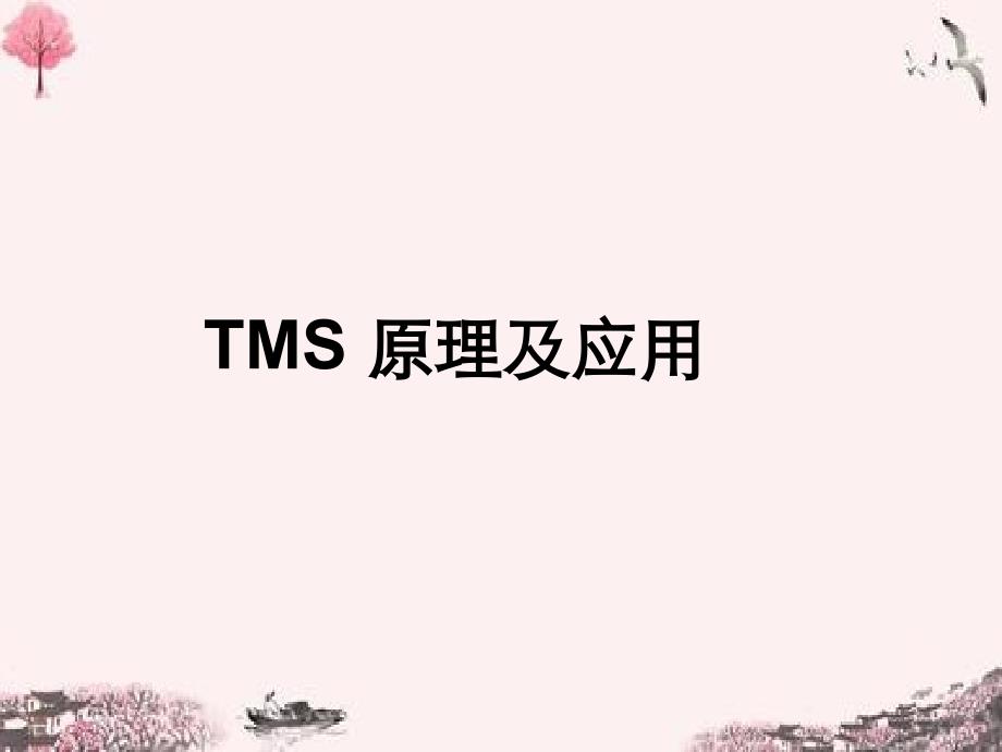 3TMS原理及应用_第1页