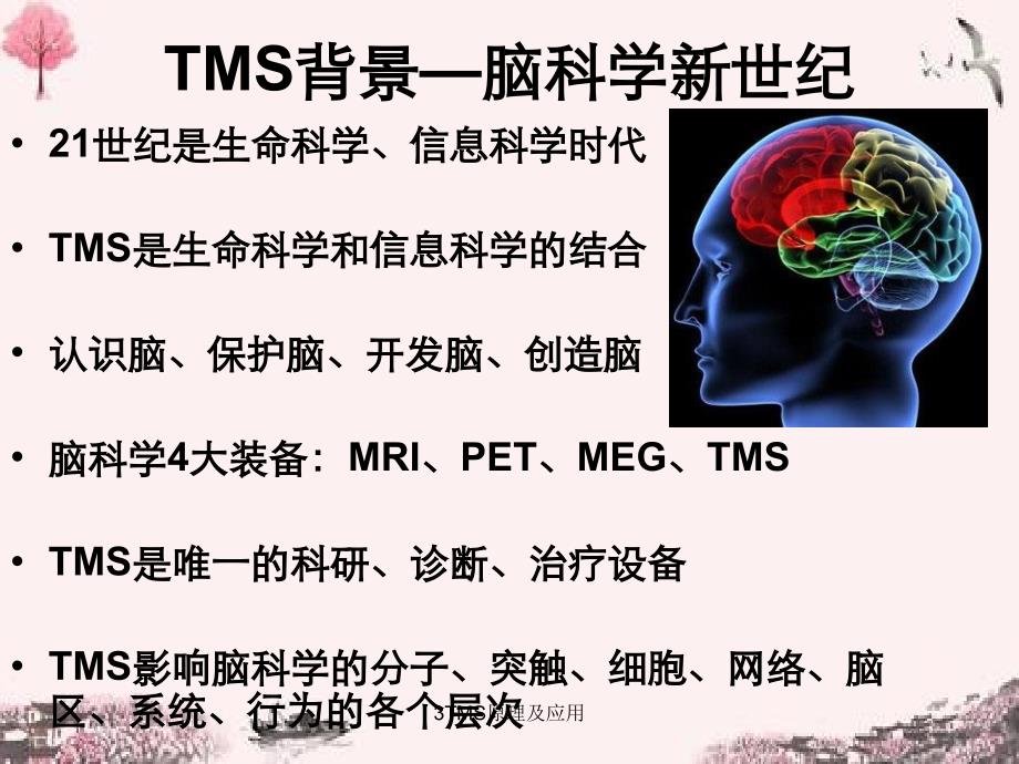 3TMS原理及应用_第2页