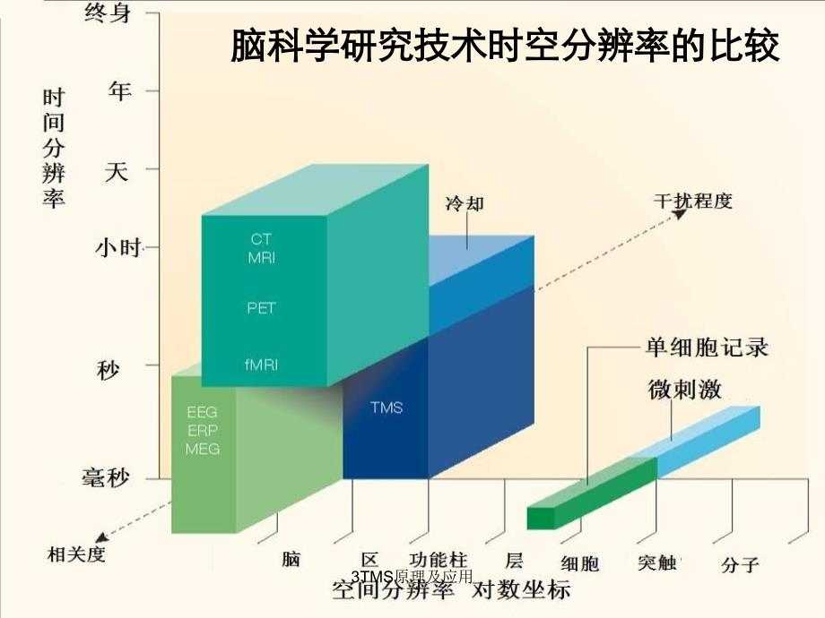 3TMS原理及应用_第3页