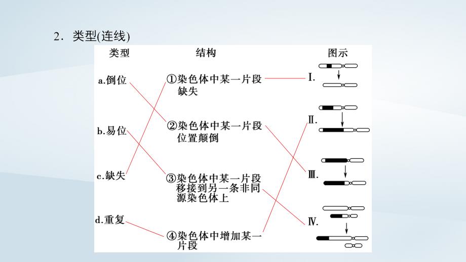 2023-2023高中生物 第3章 遗传和染色体 第3节 染色体变异及其应用课件 苏教版必修2_第4页