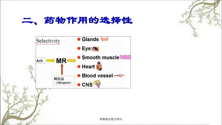 药物效应动力学4课件_第5页