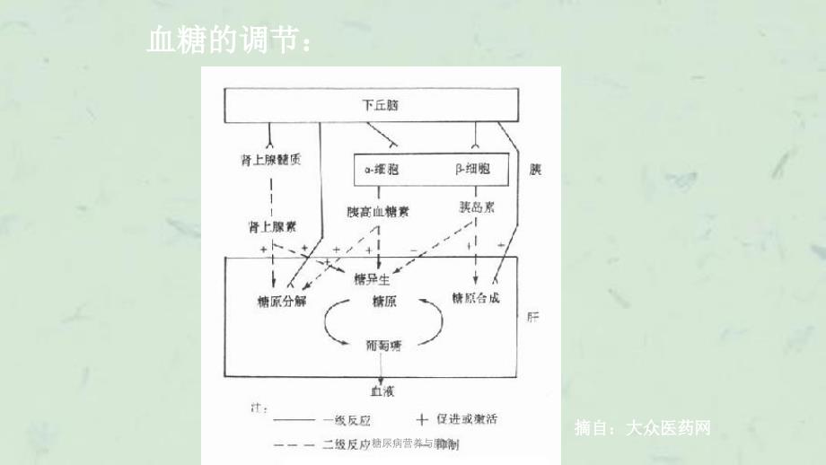 糖尿病营养与膳食课件_第3页