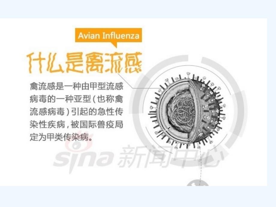 H7N9禽流感的预防和治疗讲义ppt课件_第4页